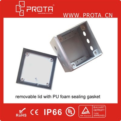 IP66 tengibox SS304 & SS316